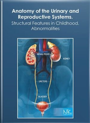 Анатомія сечової та статевої систем