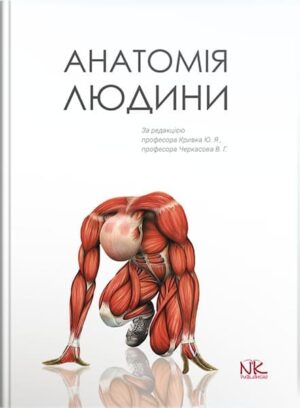 Анатомія людини. – 2-ге вид. // Кривко Ю.Я., Черкасов В.Г., Кравчук С.Ю. та ін.